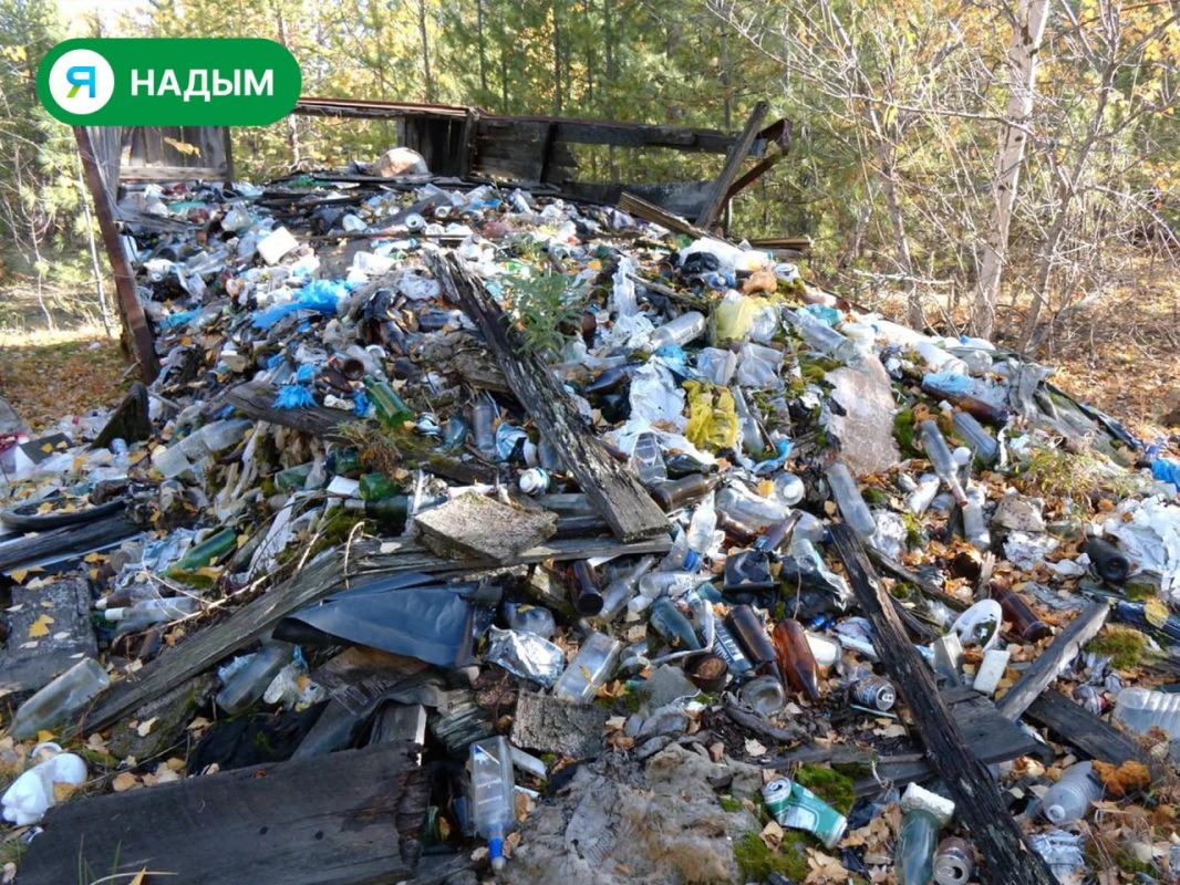 В Надымском районе обнаружили несанкционированную свалку