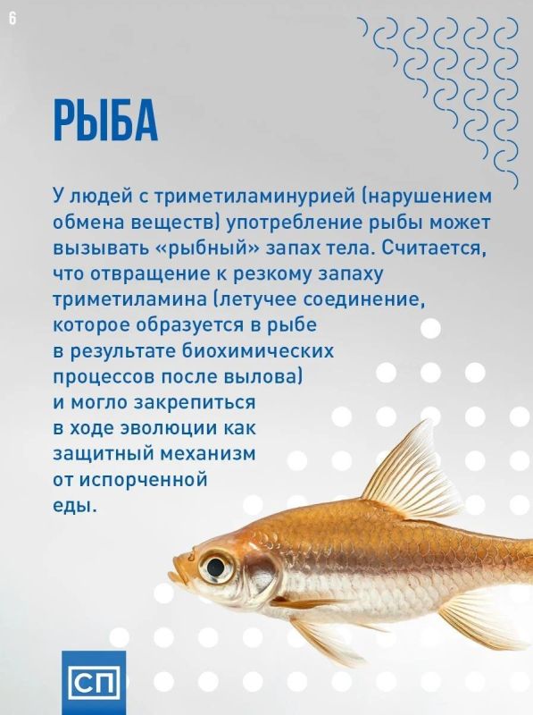 О вкусах не спорят: почему люди по-разному воспринимают запах одних и тех же продуктов? Все дело не во вкусе, а в нашем мозге, генах и даже воспоминаниях О вкусах не спорят: почему люди по-разному воспринимают запах одних и тех же продуктов? Все дело не во вкусе, а в нашем мозге, генах и даже воспоминаниях