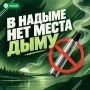 С 1 марта 2027 года в Надымском районе запретят розничную продажу вейпов и жидкостей для них