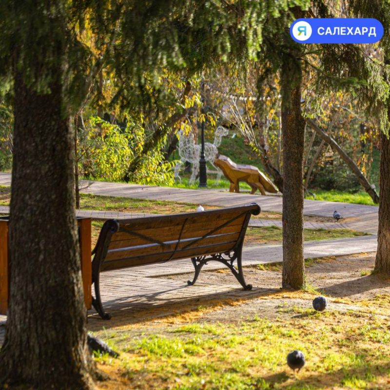 Золотой Салехард: фотопрогулка по осеннему городу Золотой Салехард: фотопрогулка по осеннему городу