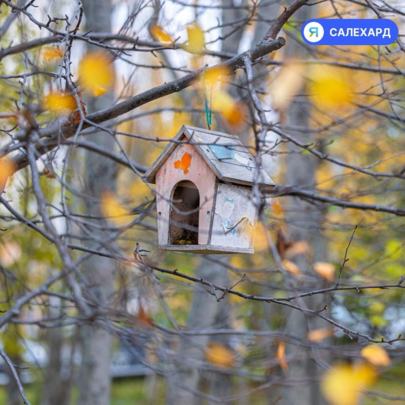 Золотой Салехард: фотопрогулка по осеннему городу Золотой Салехард: фотопрогулка по осеннему городу