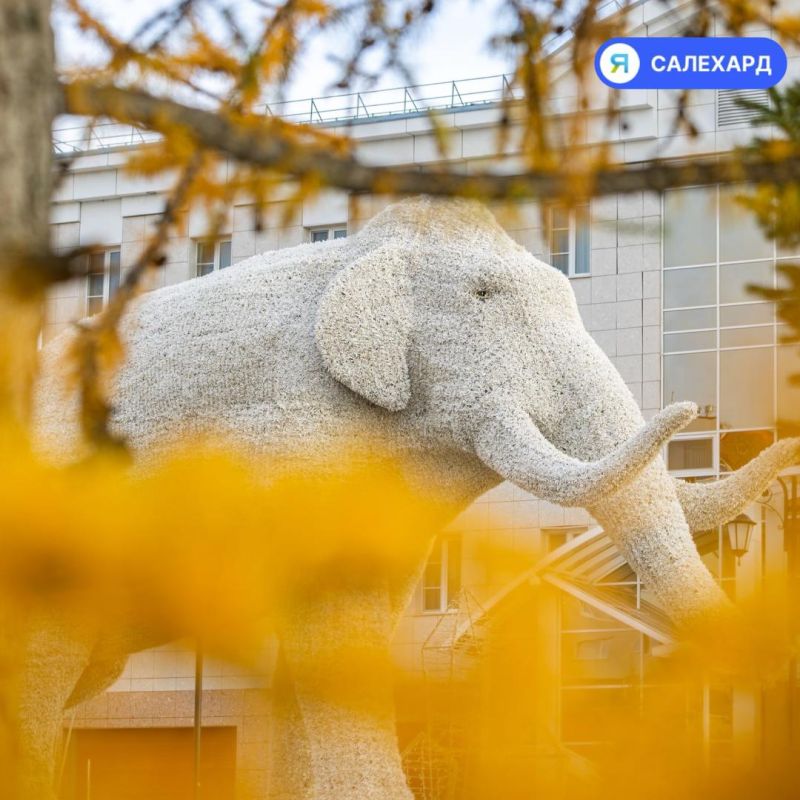 Золотой Салехард: фотопрогулка по осеннему городу Золотой Салехард: фотопрогулка по осеннему городу