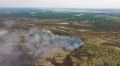С огнем в лесах Ямала борются более 270 человек