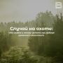 Случай на охоте: что можно и нельзя делать при доборе раненного животного