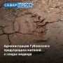 Свежие следы медведя обнаружили в районе кладбища в Пурпе