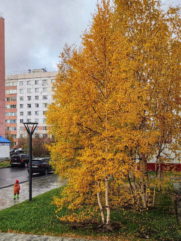 Короткая, но дивная пора Короткая, но дивная пора