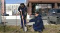 Работники прокуратуры Нового Уренгоя приняли участие в экологической акции по высадке деревьев в микрорайоне Энтузиастов