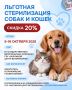 Льготная стерилизация собак и кошек — скидка 20%!