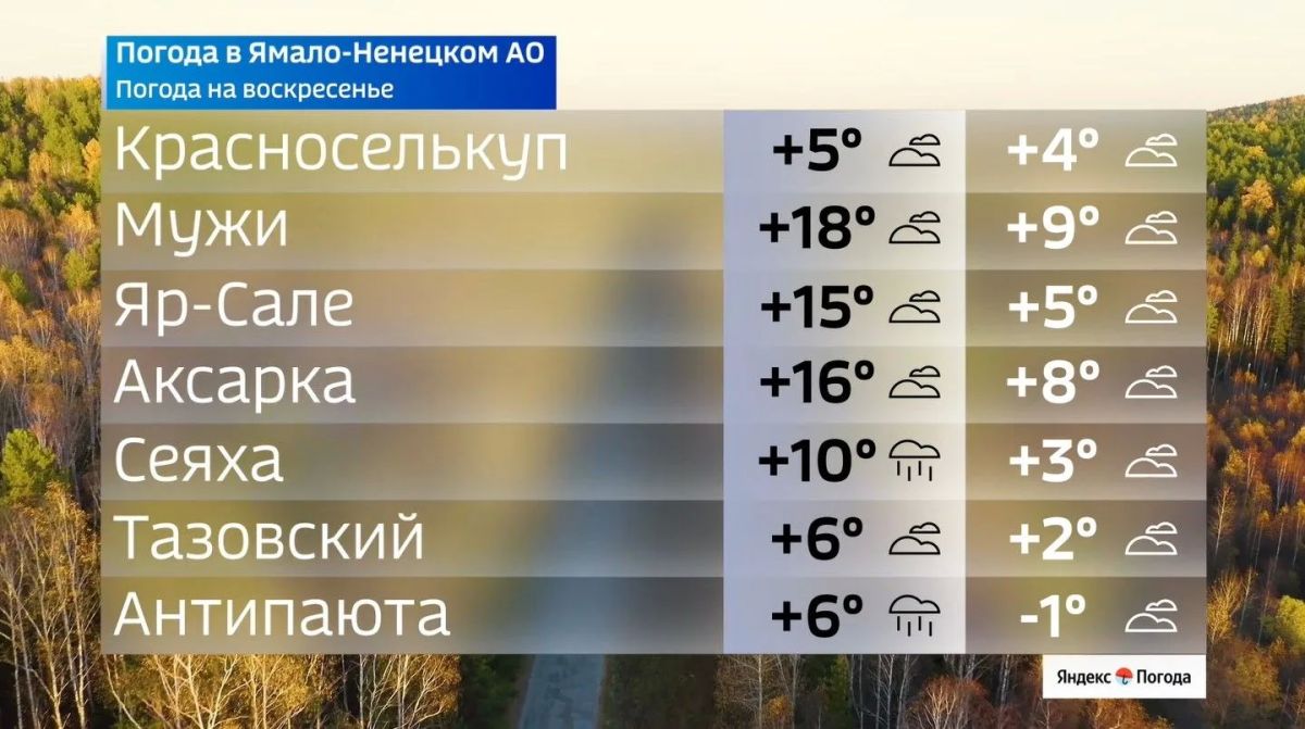 Где на Ямале еще лето, а кому пора доставать пуховики Где на Ямале еще лето, а кому пора доставать пуховики