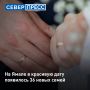 На Ямале в красивую дату 26.09.2026 свой брак зарегистрировали 36 влюбленных пар, сообщили в окружной службе ЗАГС