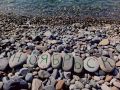 Скучаете? Скучаете! Ноябряне — за морюшком
