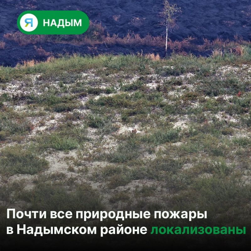 В Надымском районе действуют четыре природных пожара