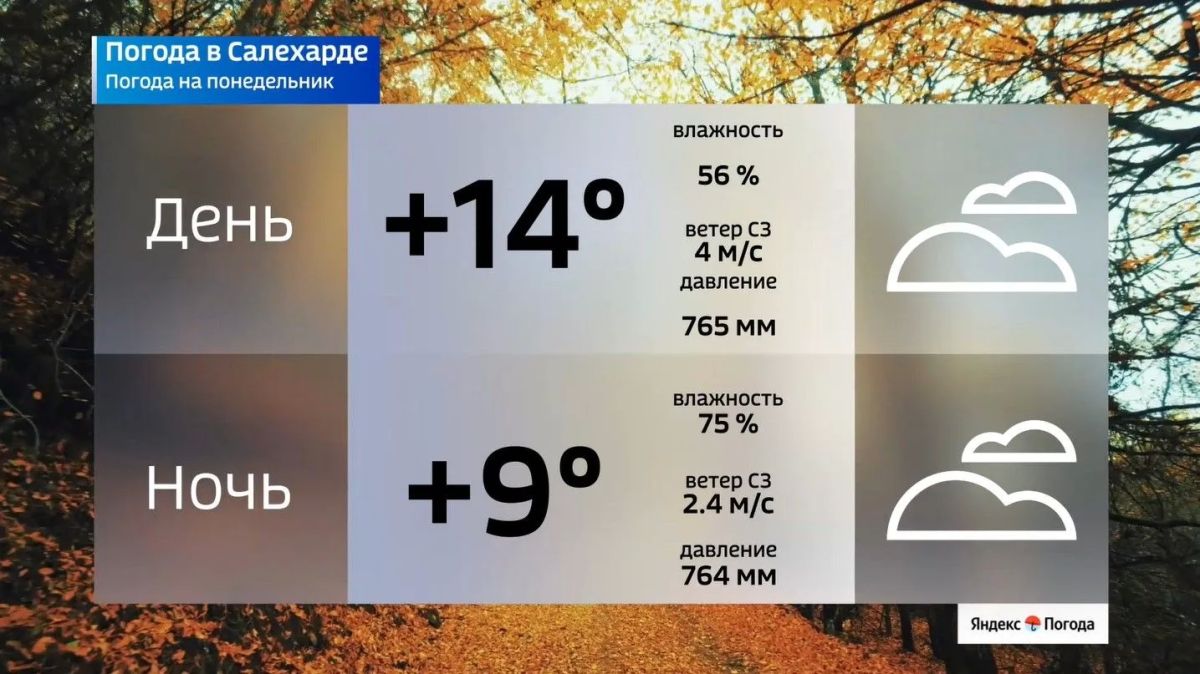 Какой будет погода на Ямале в начале недели Какой будет погода на Ямале в начале недели