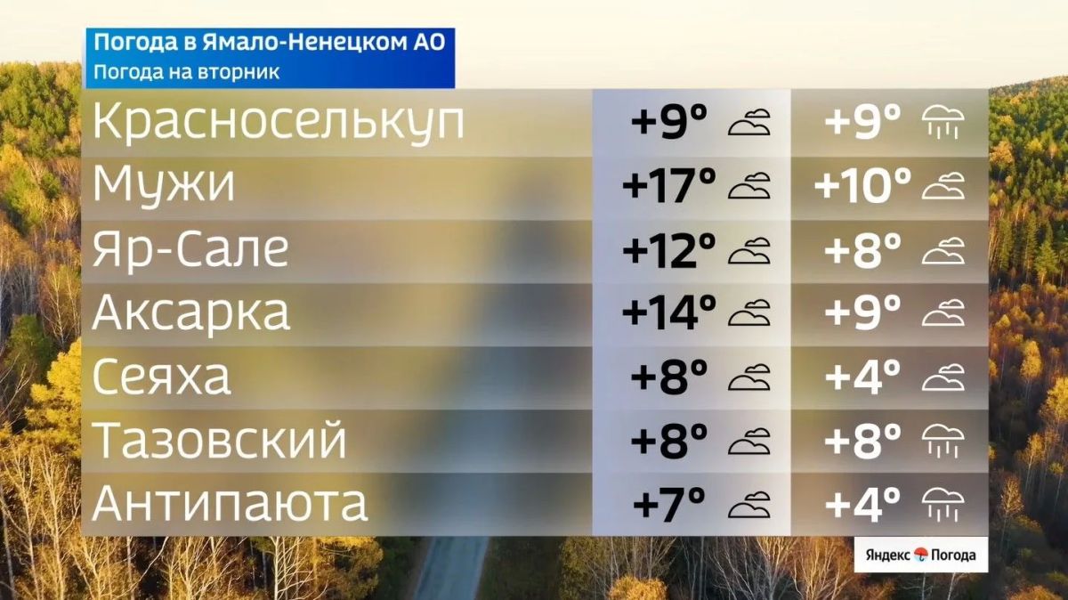 Каких погодных сюрпризов ждать жителям Ямала во вторник Каких погодных сюрпризов ждать жителям Ямала во вторник