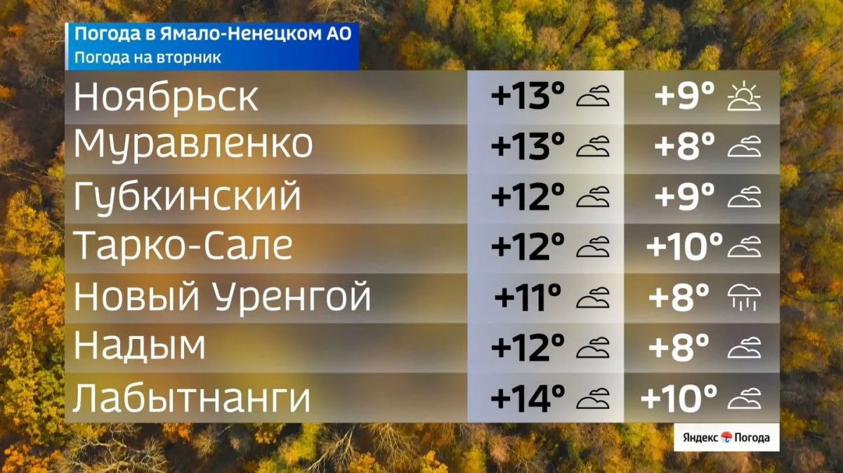 Каких погодных сюрпризов ждать жителям Ямала во вторник