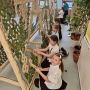 Помощь, которая спасает.