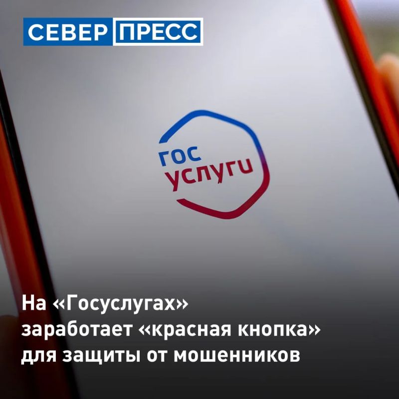 «Красная кнопка» для защиты от мошенников заработает на «Госуслугах» в этом году
