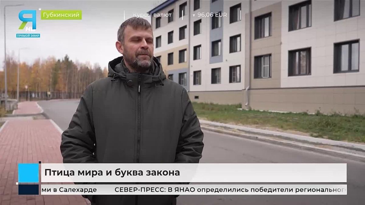 Птичкам — зерно, городу — проблемы: ямальские голуби атакуют