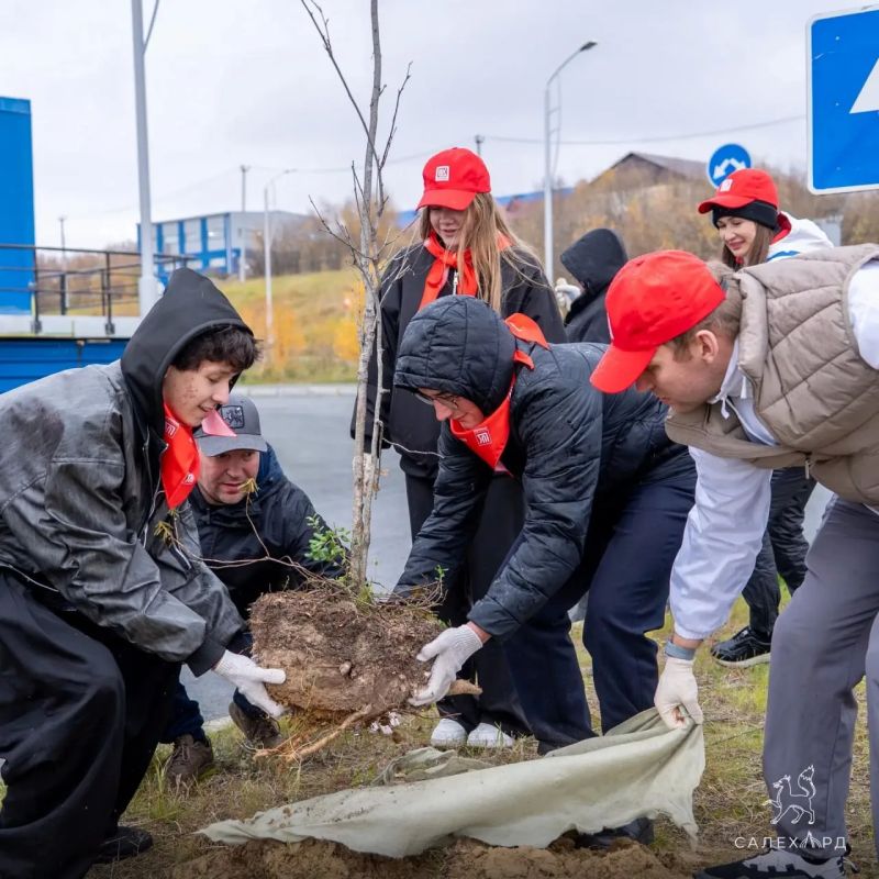 В Салехарде стало на 100 деревьев больше В Салехарде стало на 100 деревьев больше
