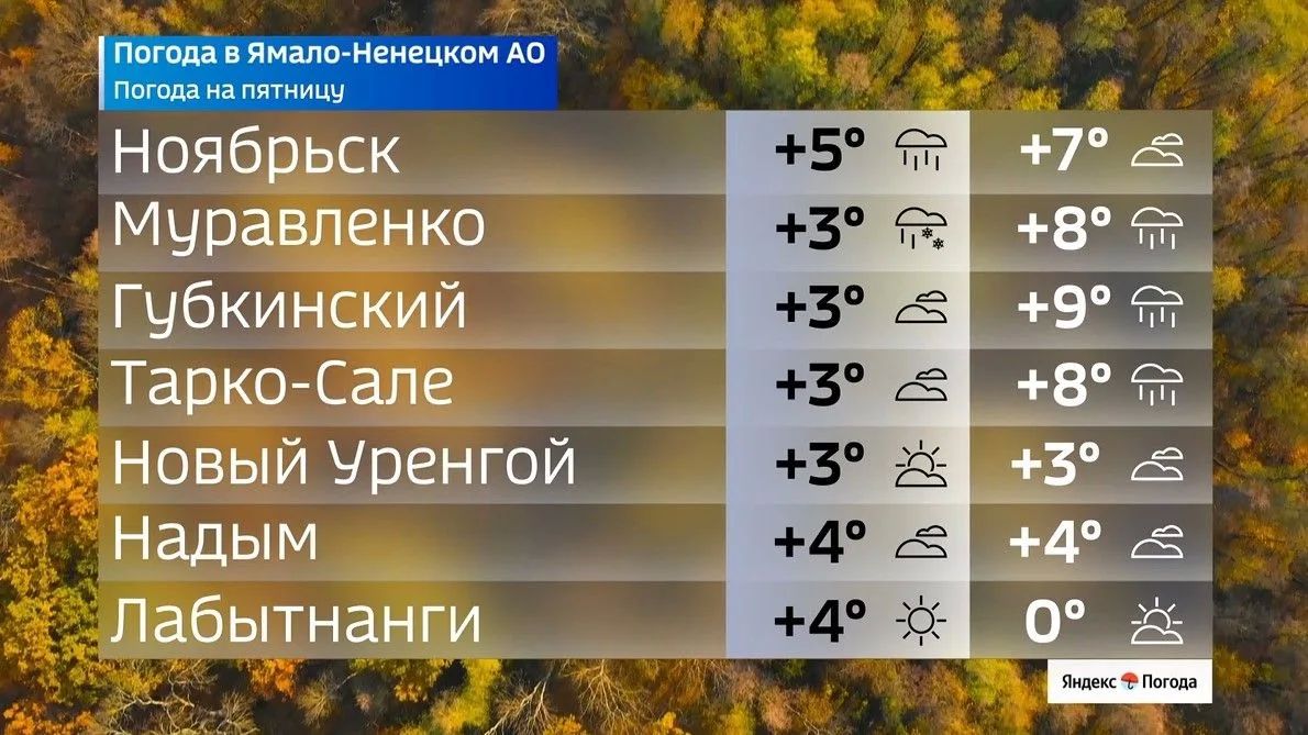 Октябрь встречает Ямал прохладой