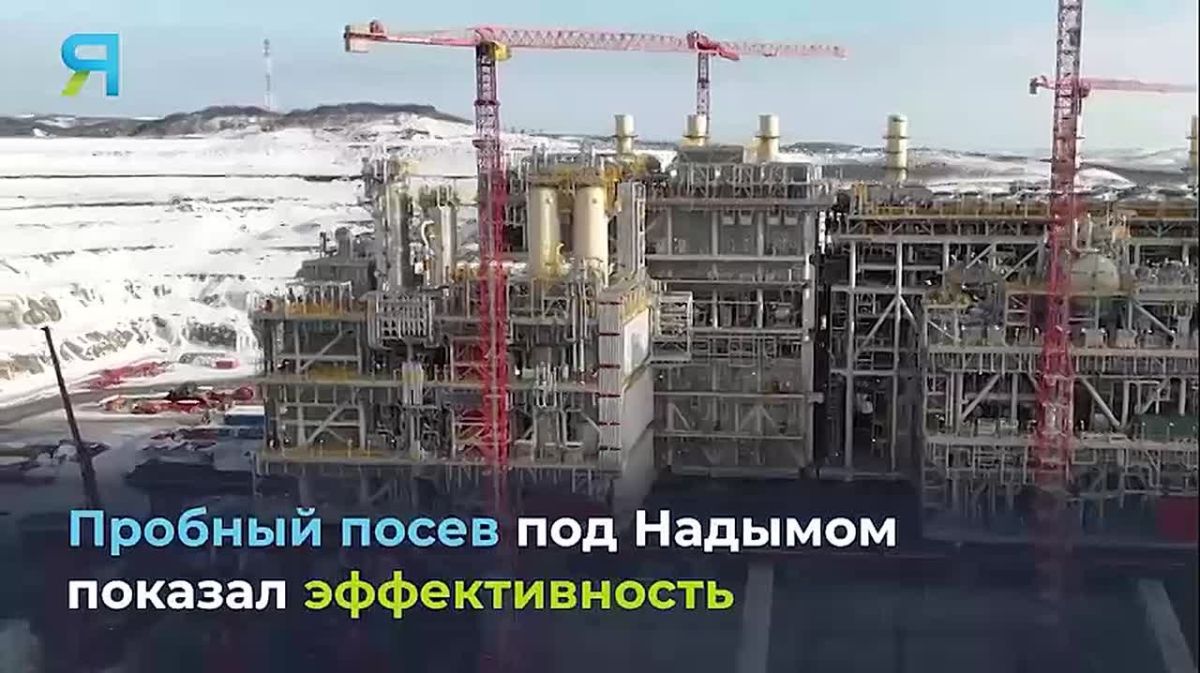 Новостной дайджест на «Ямал-Медиа»