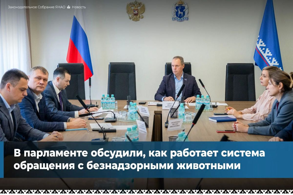 Депутаты рассмотрели результаты работы в сфере обращения с бездомными животными за шесть лет. Доклад представил руководитель региональной службы ветеринарии Евгений Попов