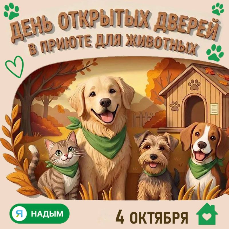 В это воскресенье у каждого из нас есть шанс совершить настоящее чудо