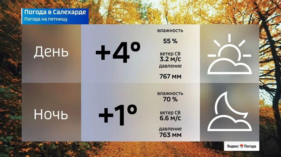 Октябрь встречает Ямал прохладой Октябрь встречает Ямал прохладой
