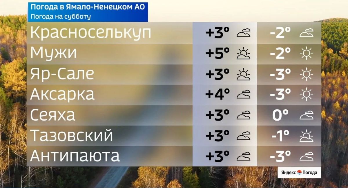 Ночные заморозки накрывают округ Ночные заморозки накрывают округ