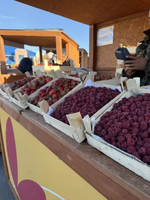 За продуктами и подарками — на осеннюю ярмарку в «Дарах Ямала» За продуктами и подарками — на осеннюю ярмарку в «Дарах Ямала»