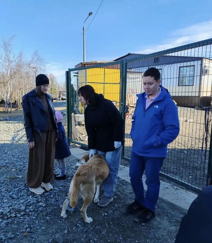 Сегодня отмечается Всемирный день защиты животных Сегодня отмечается Всемирный день защиты животных