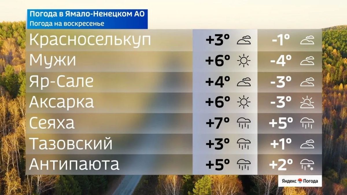 Первые морозы подступают к Ямалу Первые морозы подступают к Ямалу