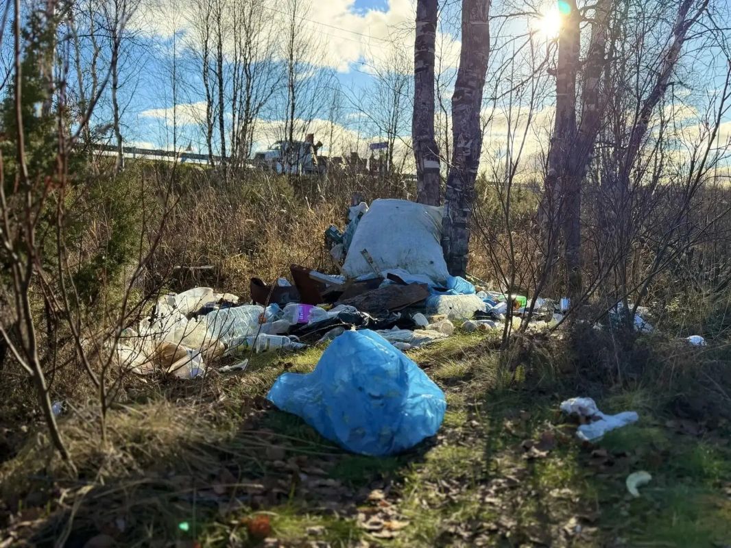 В лесу рядом с Салехардом стало чище В лесу рядом с Салехардом стало чище