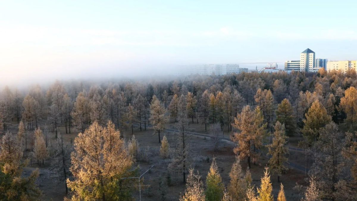 Утро туманное, утро седое
