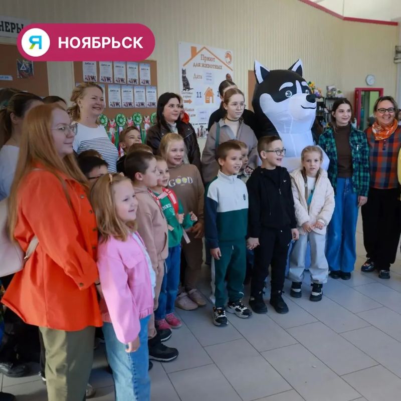Пять котов и щенок из ноябрьского приюта обрели дом Пять котов и щенок из ноябрьского приюта обрели дом