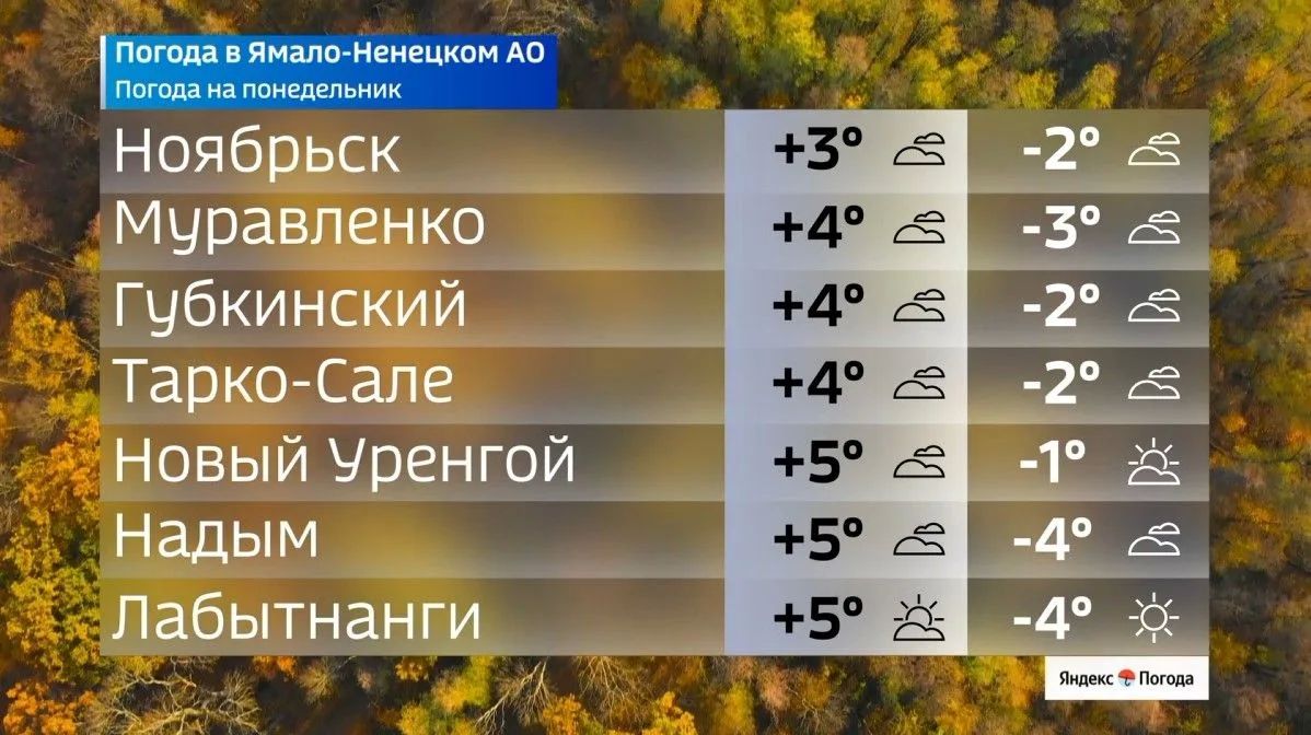 Прогноз погоды на начало недели на Ямале