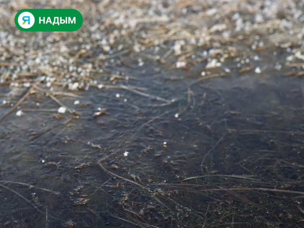 Морозное и туманное утро в Надыме Морозное и туманное утро в Надыме