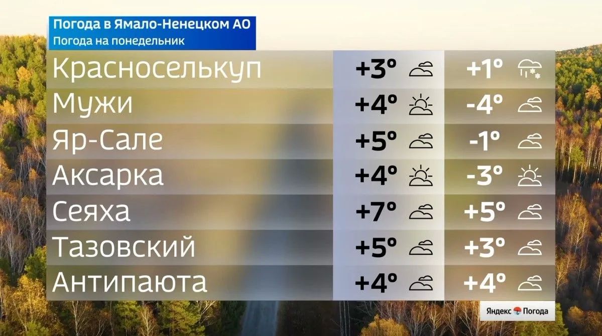 Прогноз погоды на начало недели на Ямале Прогноз погоды на начало недели на Ямале