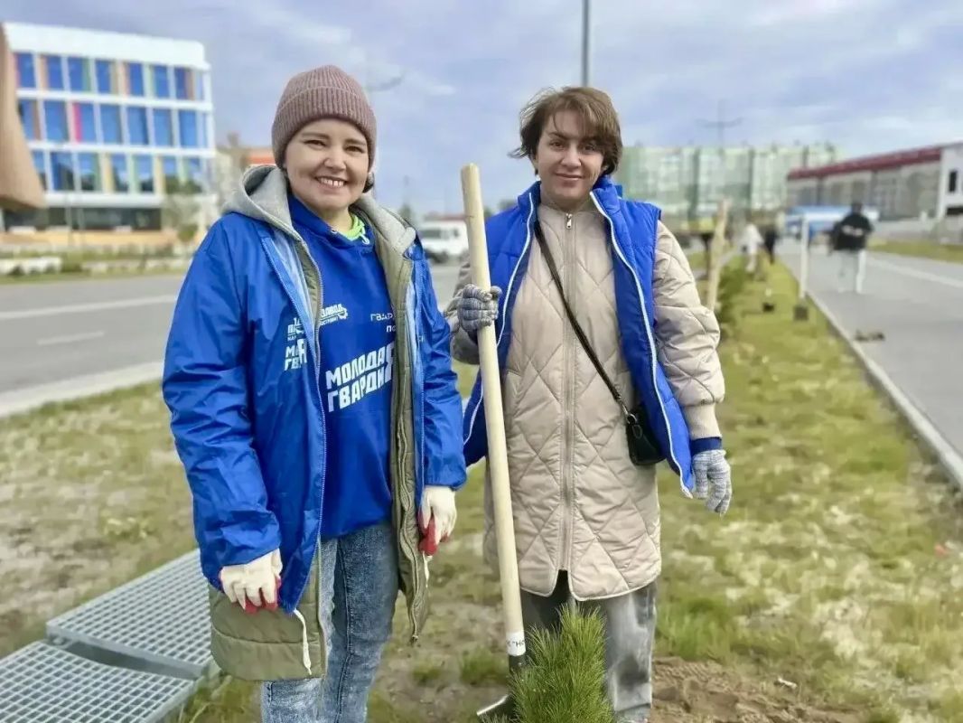 Город становится зеленее!. В рамках акции «Зелёный Новый Уренгой» в разных районах города высадили более 5 тысяч саженцев