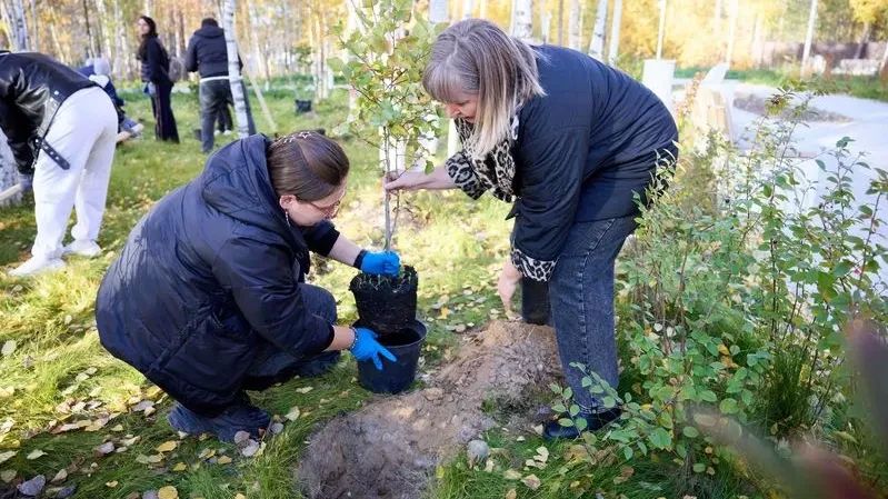 Пока вы спали, что произошло: на Ямале, в России и мире