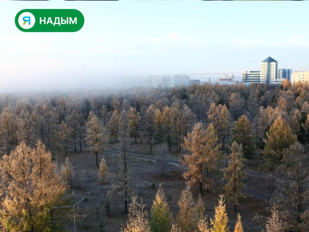 Морозное и туманное утро в Надыме
