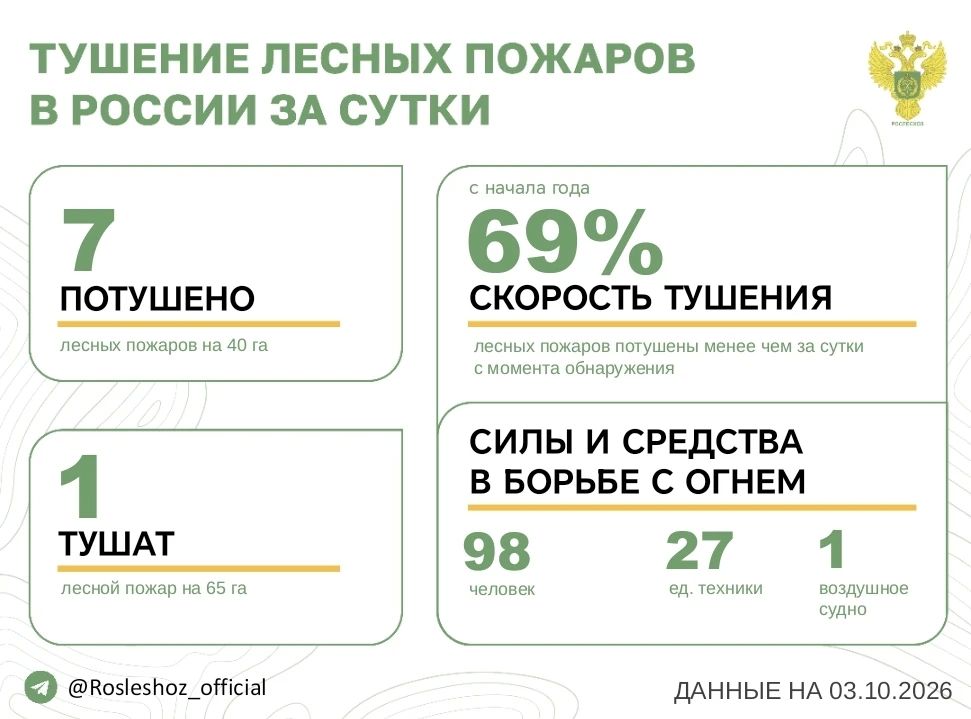 За прошедшие сутки в 5 регионах России потушили 7 лесных пожаров