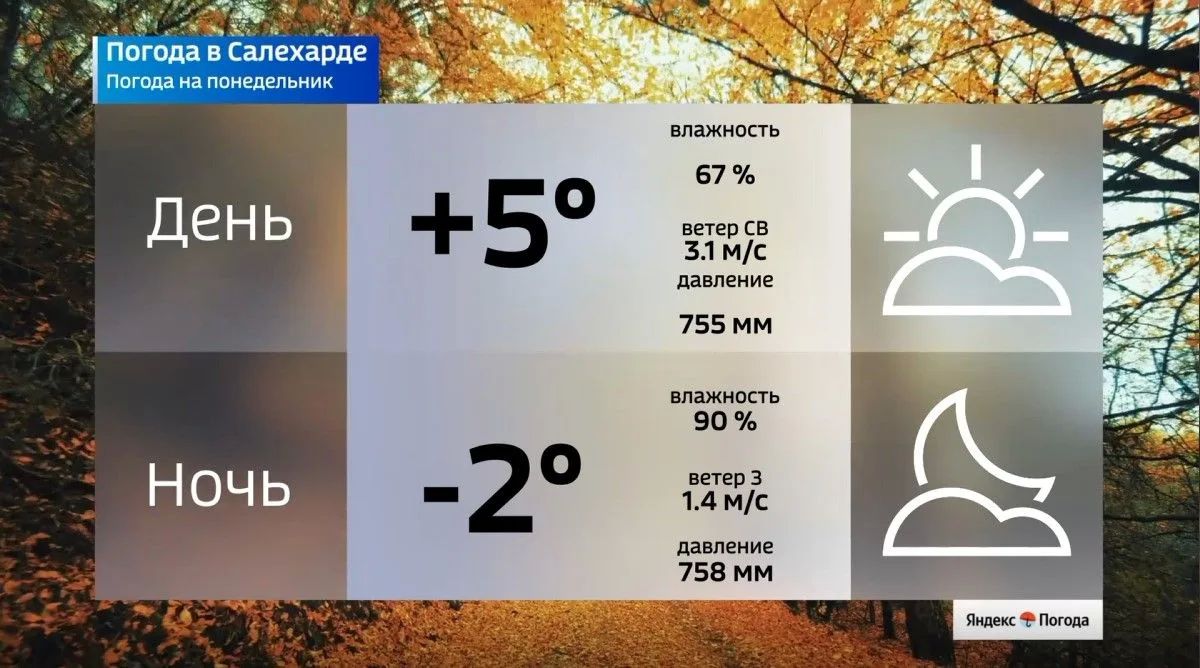 Прогноз погоды на начало недели на Ямале Прогноз погоды на начало недели на Ямале