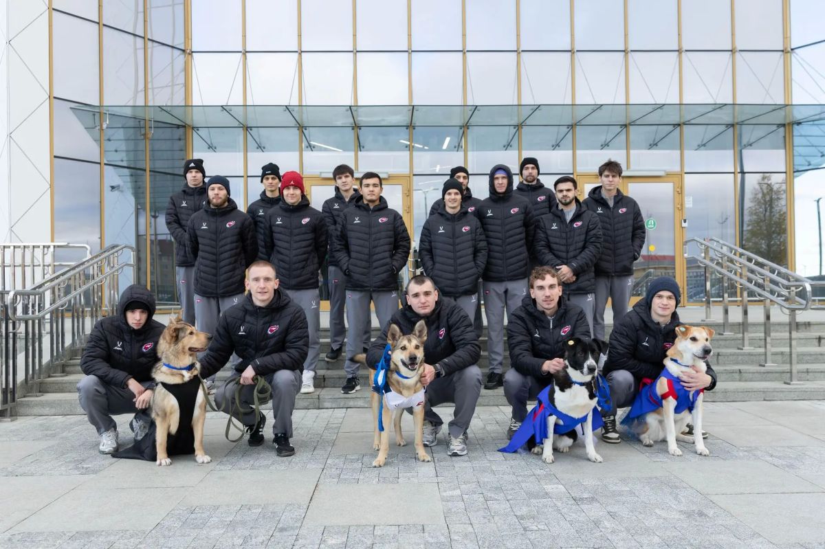 Сегодня на «Факел-Арену» приезжали ребята из приюта "Полярная лапа" Сегодня на «Факел-Арену» приезжали ребята из приюта "Полярная лапа"