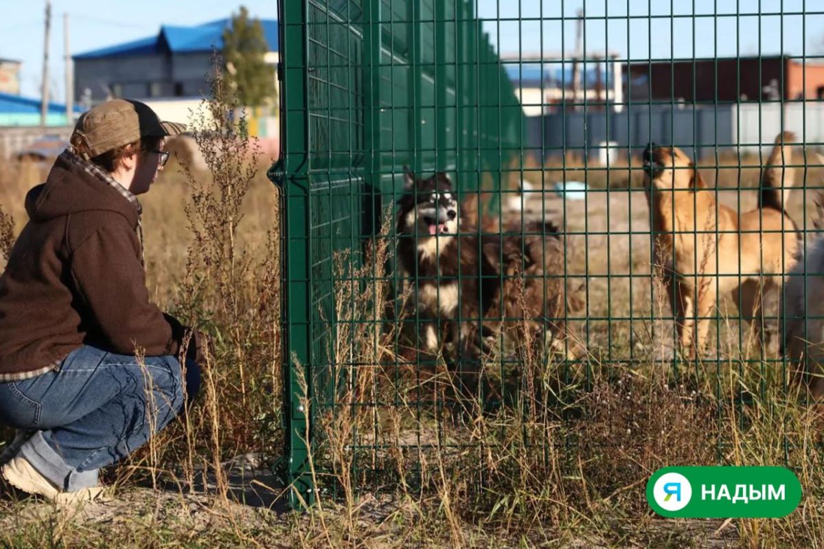 День, когда хвостики особенно ждали гостей День, когда хвостики особенно ждали гостей