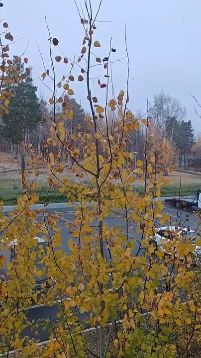 С первым снегом, Ноябрьск! Одеваемся потеплее