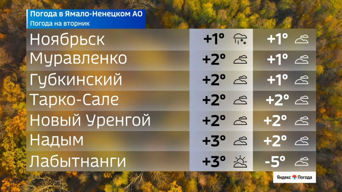 Ямальцев ждет переменчивый вторник