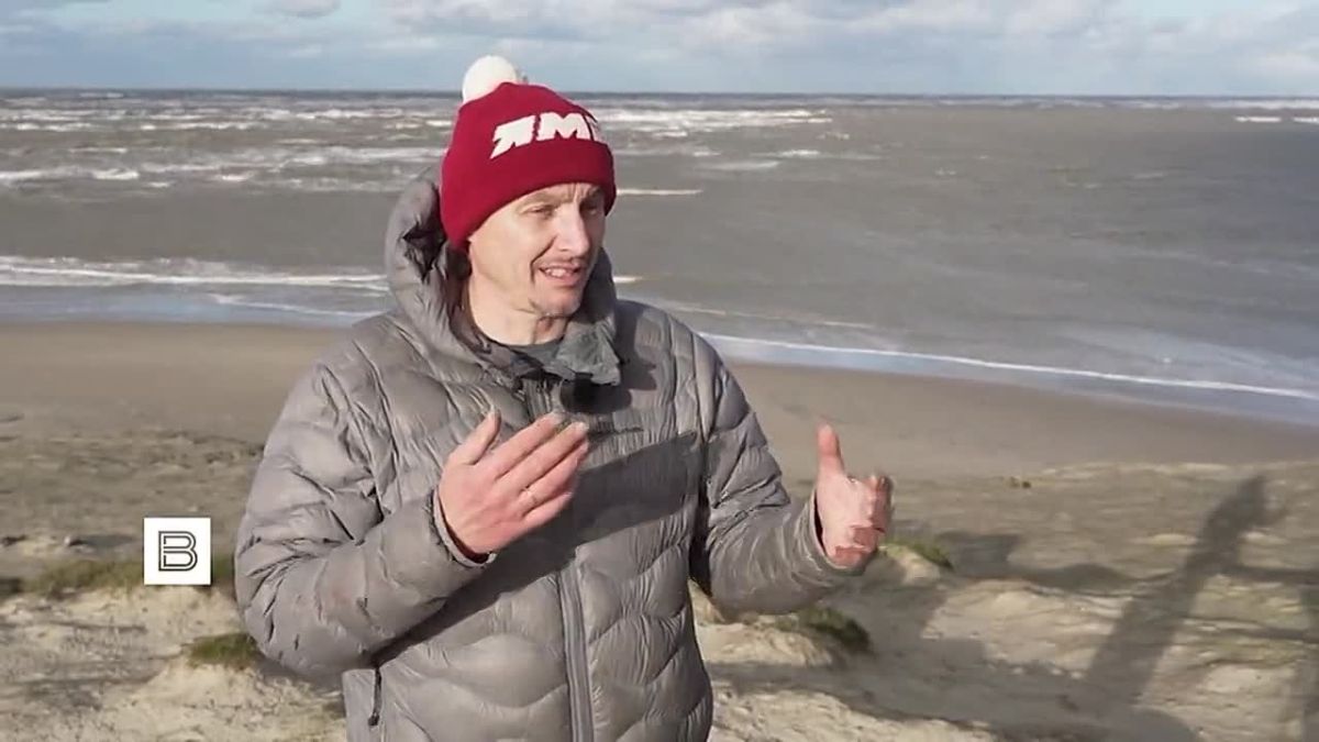 "Мы рады отметить большую долю малышей, это значит - популяция процветает": ученые на Ямале отправились на побережье Карского моря, где находится одно из крупнейших лежбищ моржей