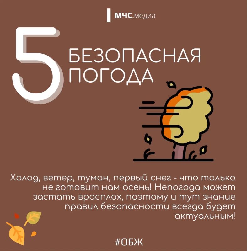 Осень без происшествий: 5 рисков, о которых важно помнить Осень без происшествий: 5 рисков, о которых важно помнить