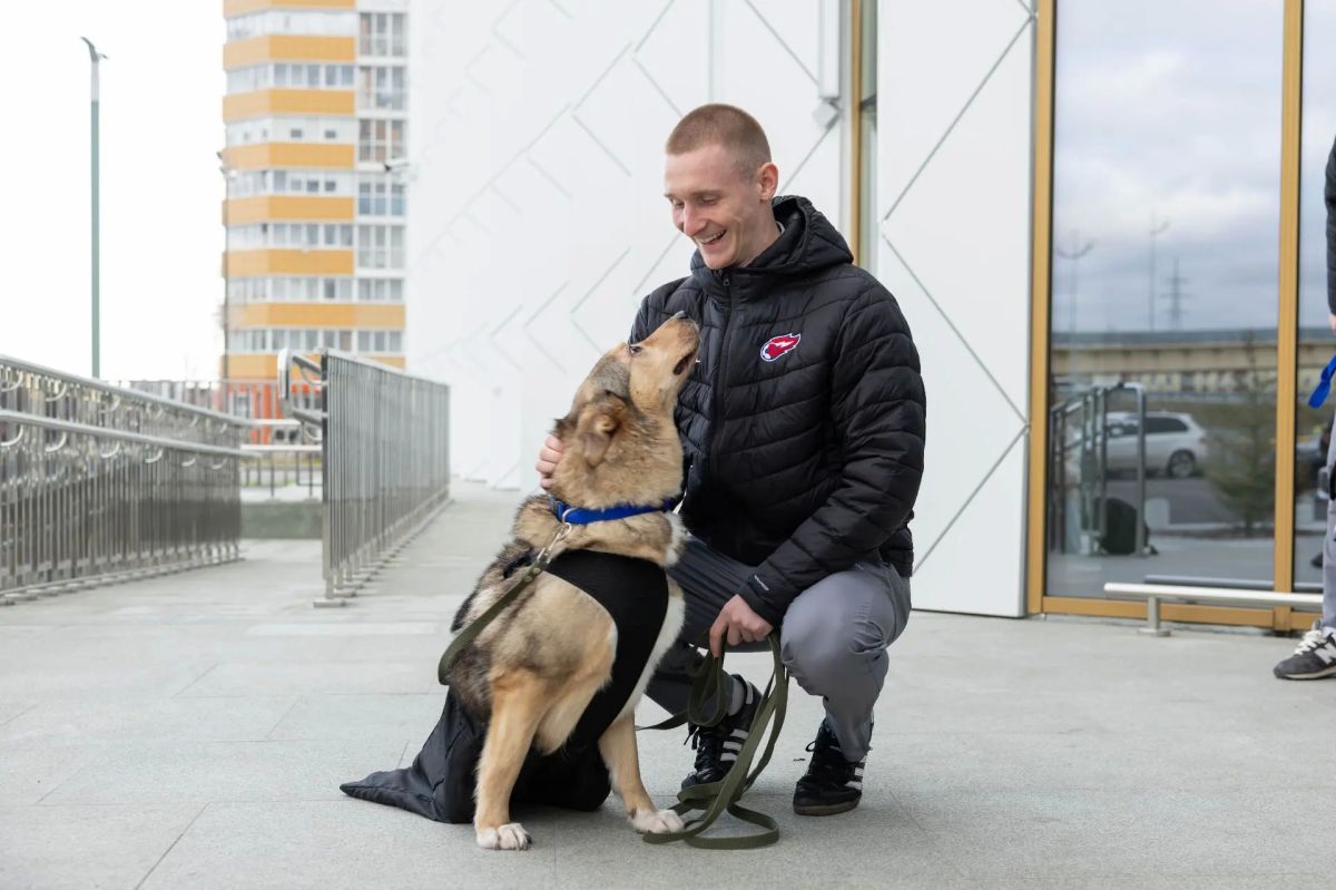 Сегодня на «Факел-Арену» приезжали ребята из приюта "Полярная лапа" Сегодня на «Факел-Арену» приезжали ребята из приюта "Полярная лапа"